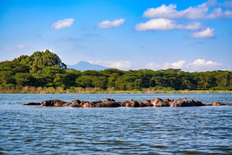 3 Days Tanzania Safari from Dar Es Salaam