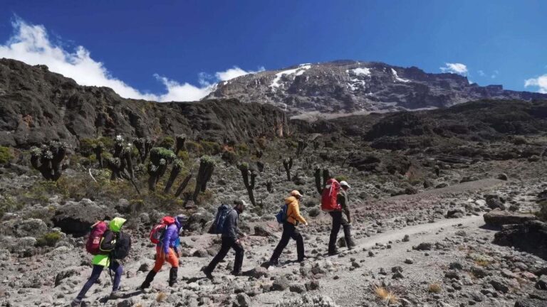 8 Days Climb Mount Kilimanjaro Via Lemosho Route