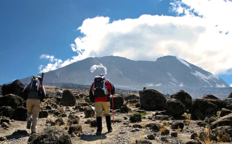 6 Days Climb Mount Kilimanjaro Via Machame Route