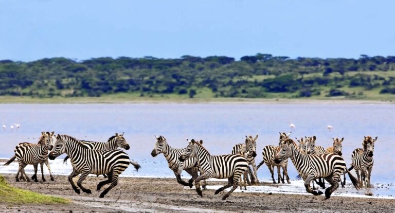 13 Days Tanzania Safari & Zanzibar Beach Holiday 2025