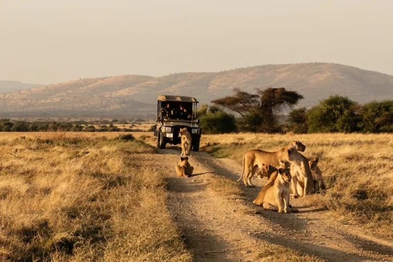 tanzania camping safari, What to Pack for a Tanzania Safari (Complete Checklist)
