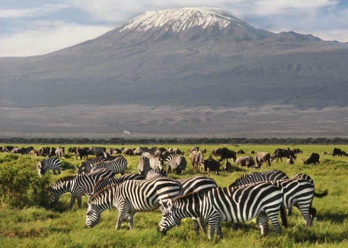 Amboseli National Park