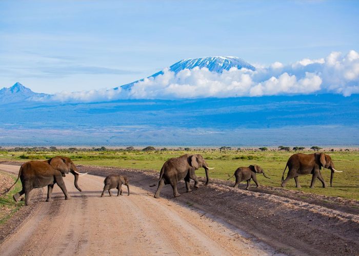 Amboseli National Park1