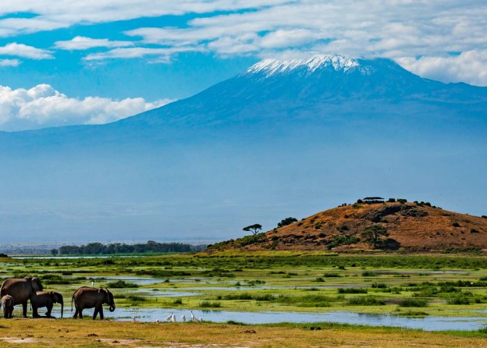 Amboseli National Park12