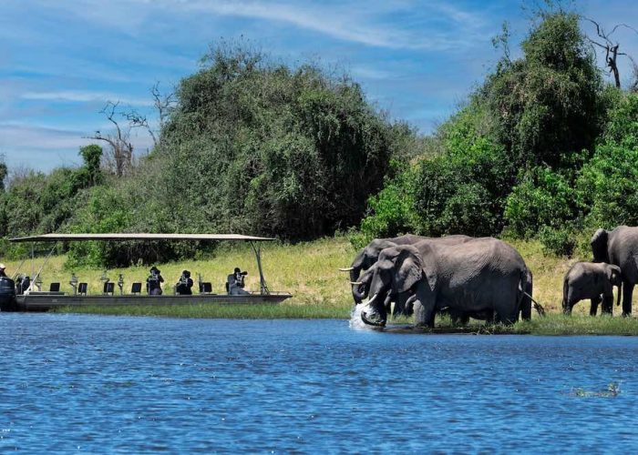 Botswana Wilderness Adventure