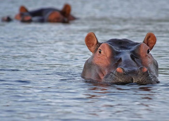 Lake Manyara