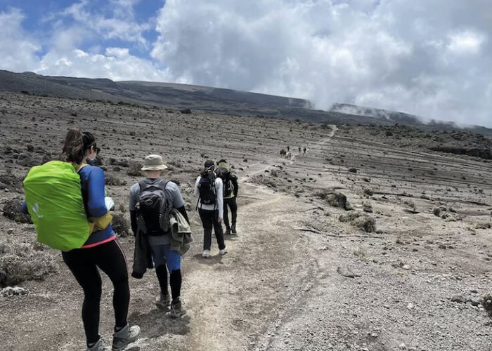 Lemosho hiking kilimanjaro