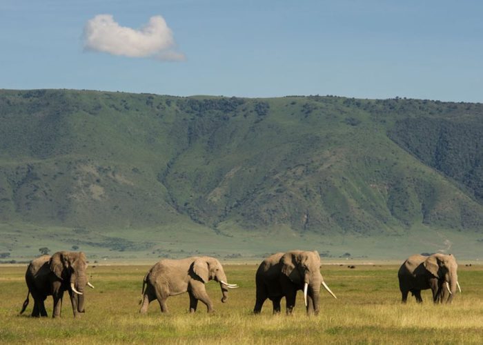 Ngorongoro craters