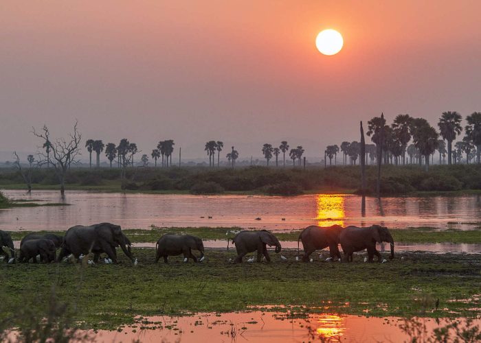 Nyyerere national park