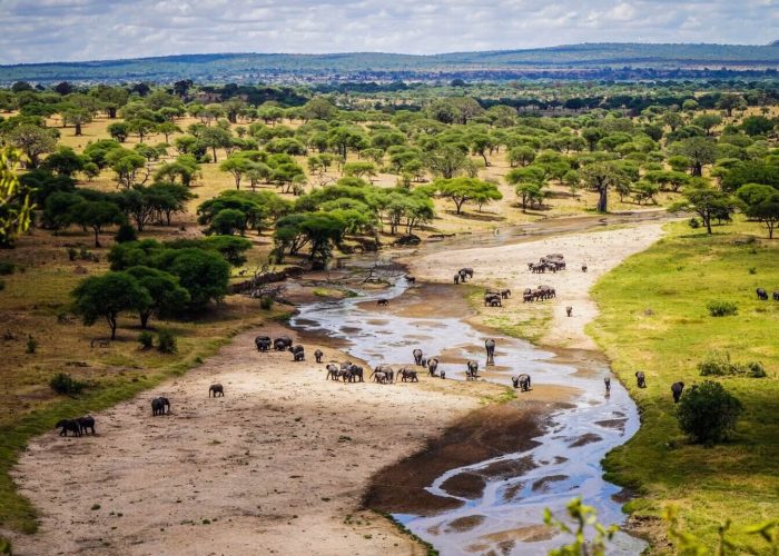 Tarangire river