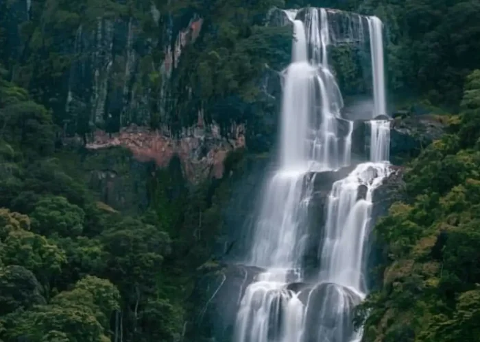 Udzungwa mountain