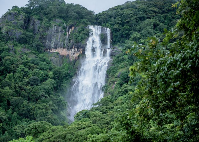 Udzungwa mountains