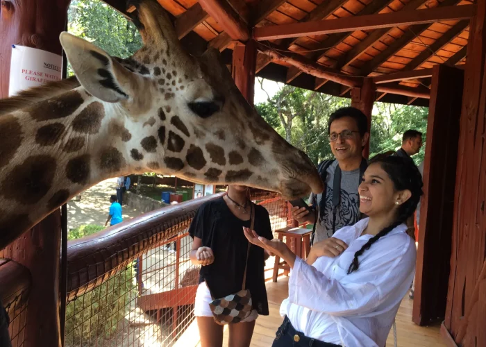 giraffee center