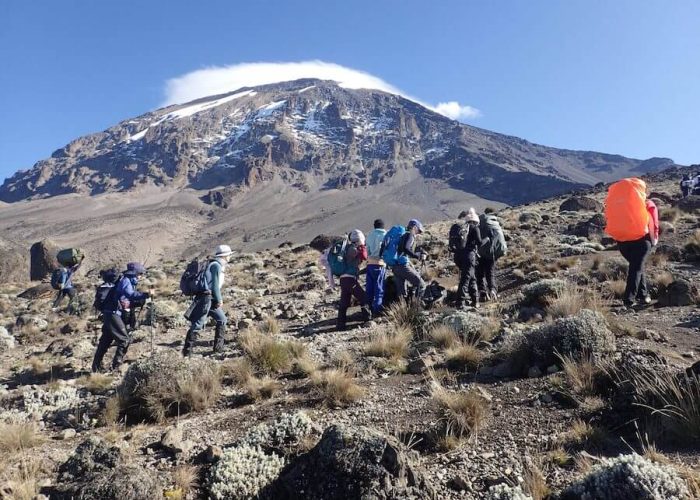 kilimanjaro climbing lemosho route