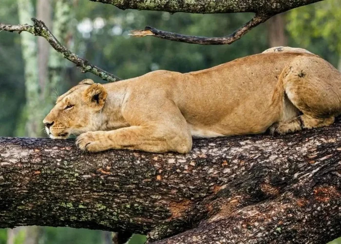 lake manyara