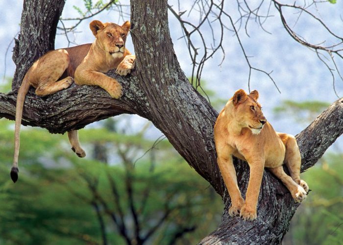 lake manyara national park