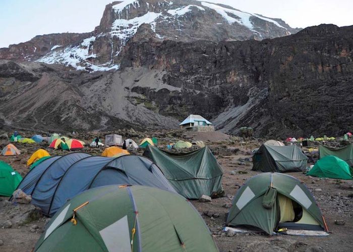 lemosho kilimanjaro