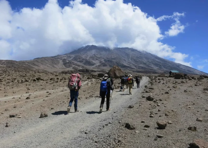 marangu hiking