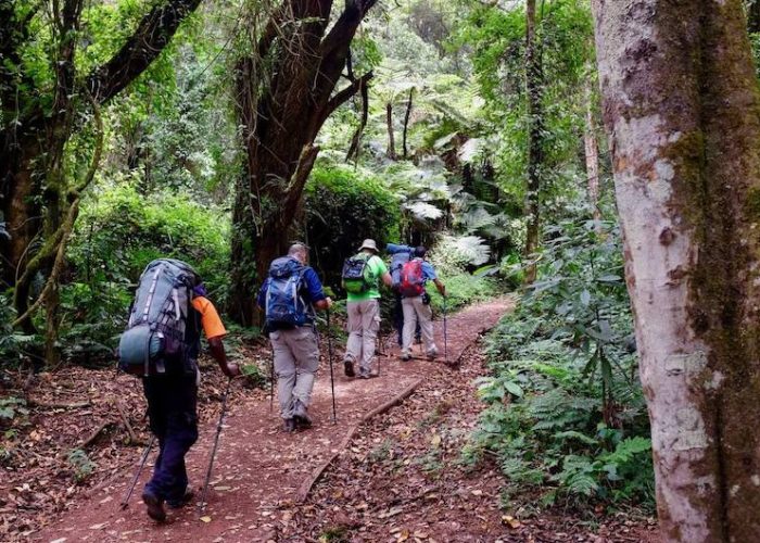 marangu hiking