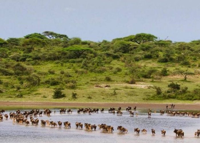 ndutu lake