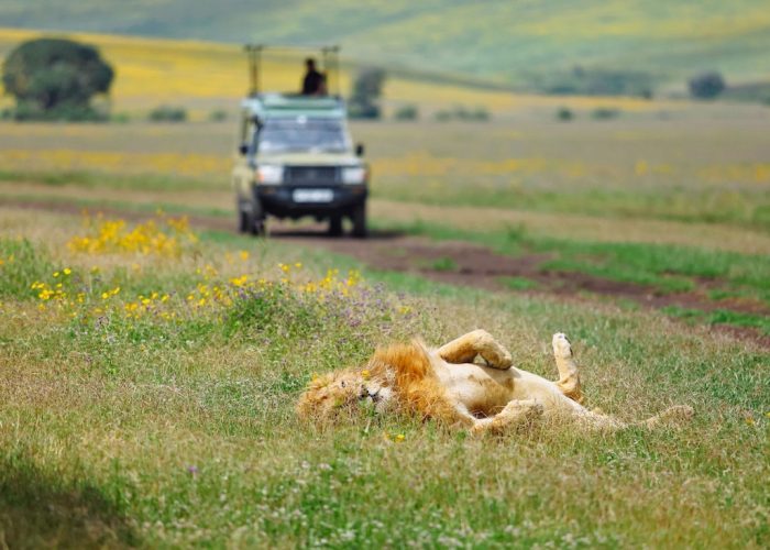 ngorongoro