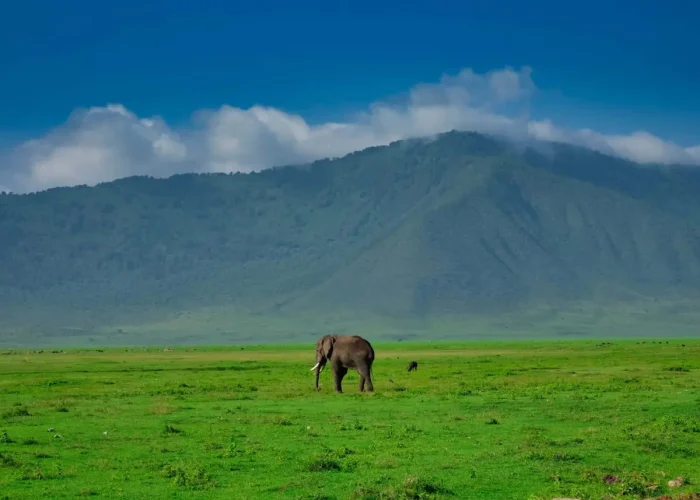 ngorongoro crater tour