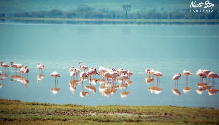 ngorongoro crater3