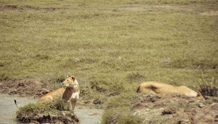 ngorongoro crater6