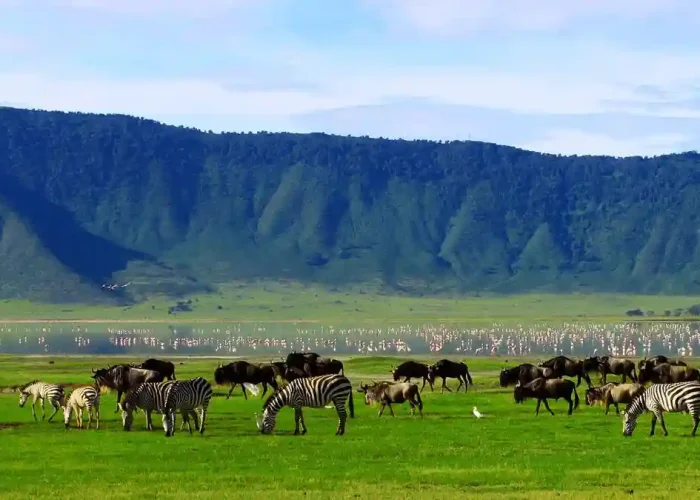 ngorongoro from zanzibar