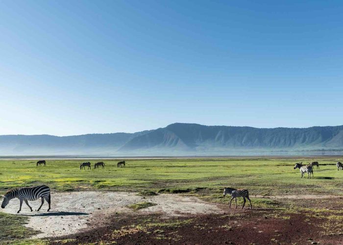 ngorongoro