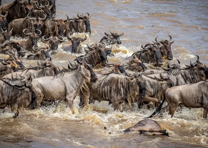 river crossing