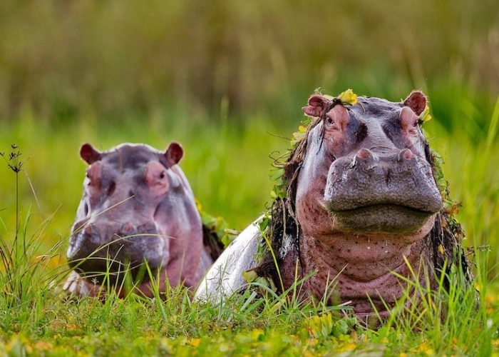 selous national park