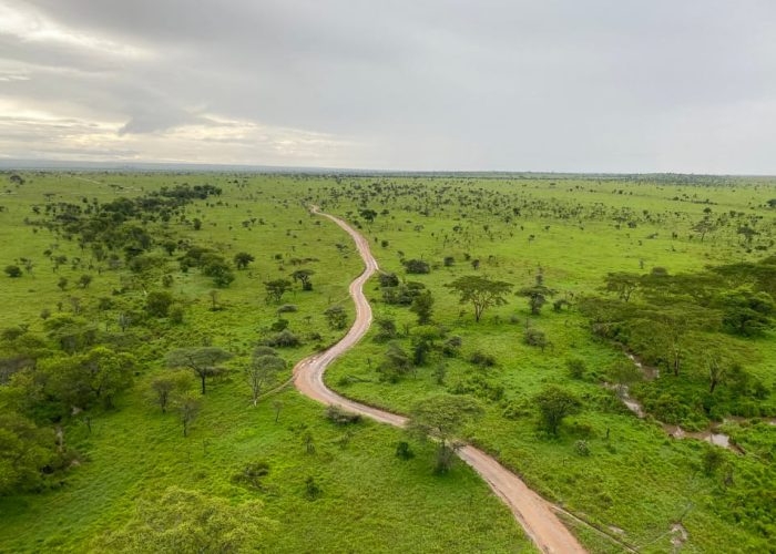 serengeti plain