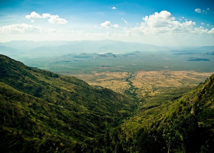 the Usambara Mountains