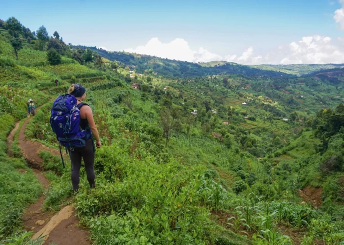 the safari and hiking